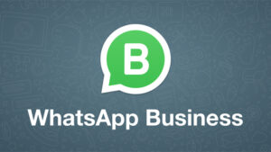 Menggali Lebih Dalam tentang Harga WhatsApp Business API